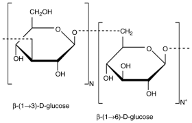 Beta Glucan vs Alpha Glucan: What's the Difference? - Yeast Beta Glucan